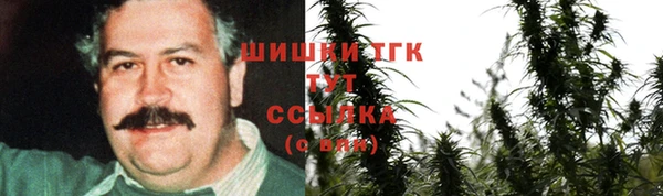 СК Каменка