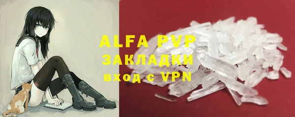 гидра Инта