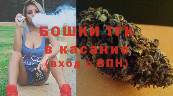 гидра Инта