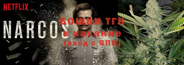 гидра Инта
