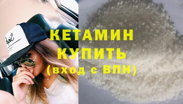гидра Инта