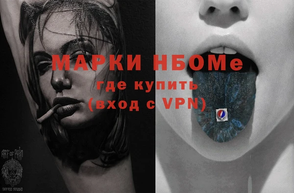 гидра Инта