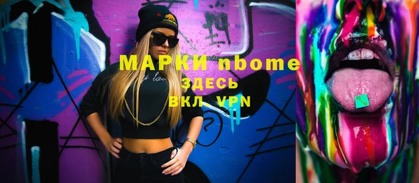 гидра Инта
