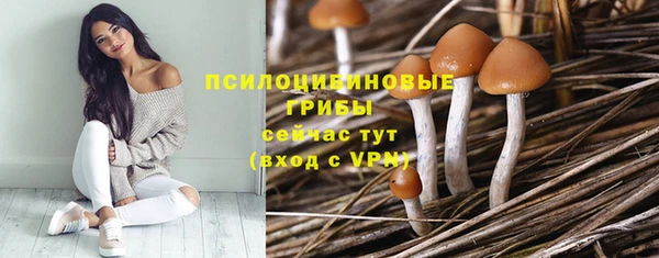 гидра Инта
