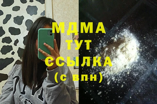 гидра Инта