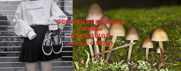 гидра Инта
