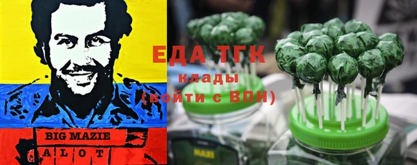 гидра Инта