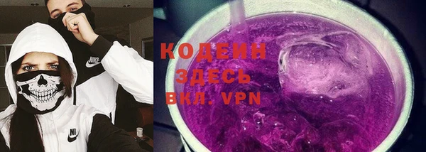 СК Каменка