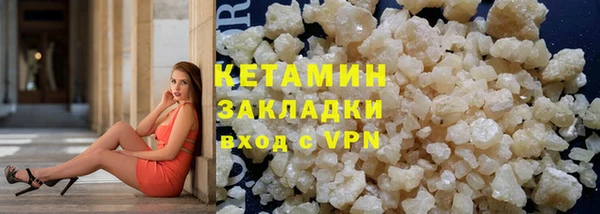 гидра Инта