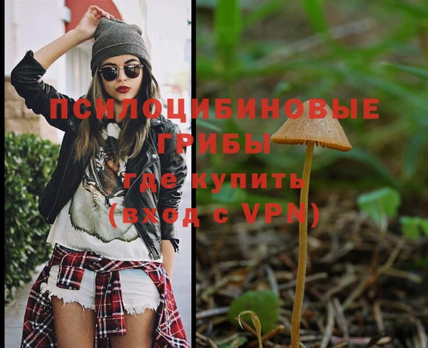 спайс Инсар