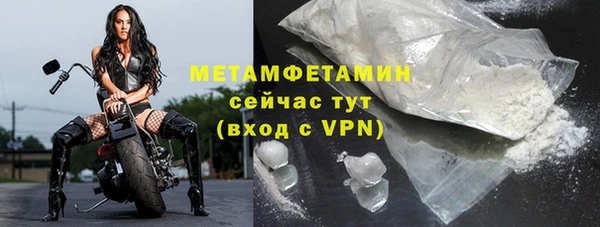 гидра Инта