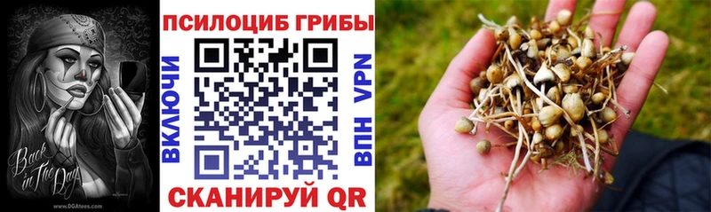 Галлюциногенные грибы мицелий Княгинино