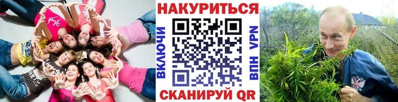 Конопля семена  Купить закладки  Княгинино 